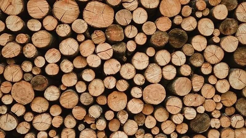 Kışa Hazırlık: En İyi Yakacak Odun Türleri